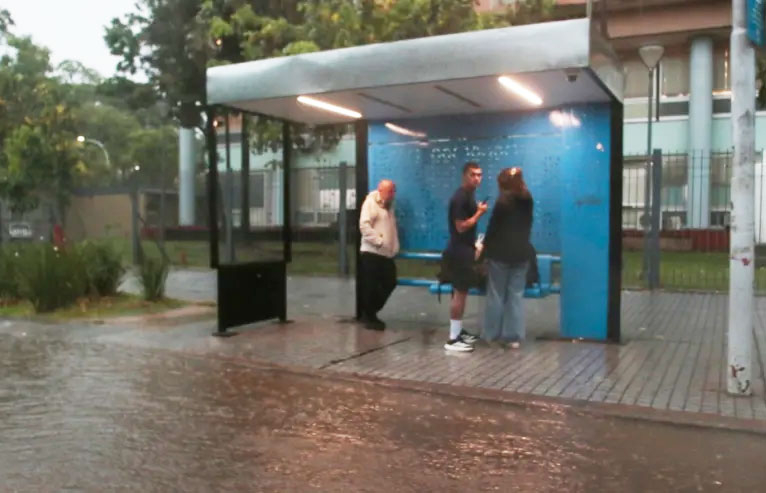 colectivo.jpg