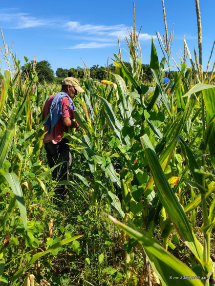 3 Productores paipperos1.jpg