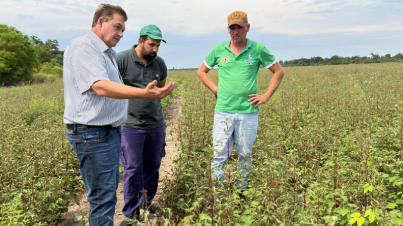 Dudik pidió a ingenieros agrónomos del Consejo Profesional que "no se hagan los distraídos"