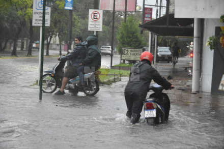 diluvio 3.jpg