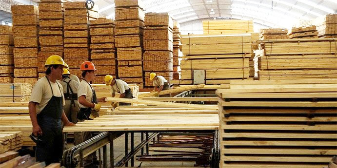 forestoindustria.jpg