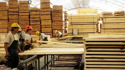 La forestoindustria pide una acción conjunta para evitar la quiebra del sector
