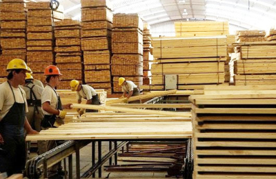 La forestoindustria pide una acción conjunta para evitar la quiebra del sector