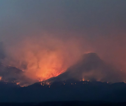 Parque Nacional los Alerces.Comportamiento del Incendio Puerto Café 24-01-2026 22-20 Andrés Solís.jpg