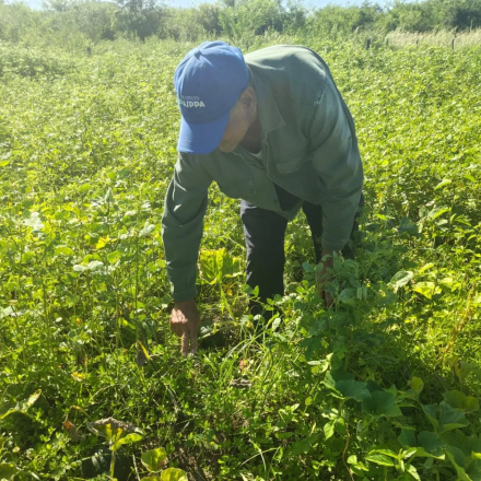Productores paipperos (6).jpg