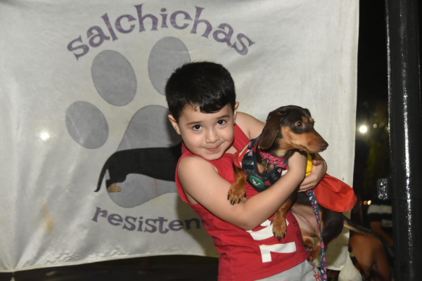 Encuentro de perros salchicha