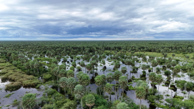 2 de febrero: Día Mundial de los Humedales
