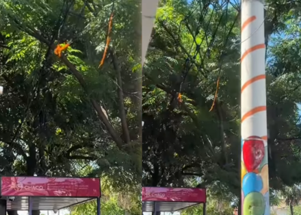 Cable incendio.png
