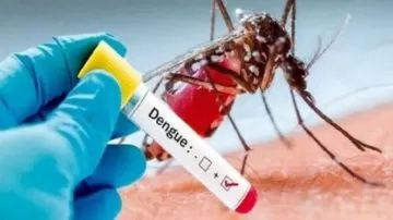 Dengue.jpg