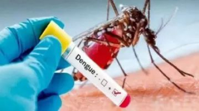 Importante descenso de los casos de dengue en Formosa
