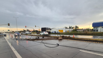 Un conductor impactó su camión contra un semáforo y luminarias