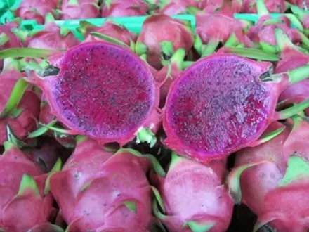 pitaya12.jpg