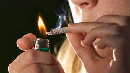 marihuanaadolescentes