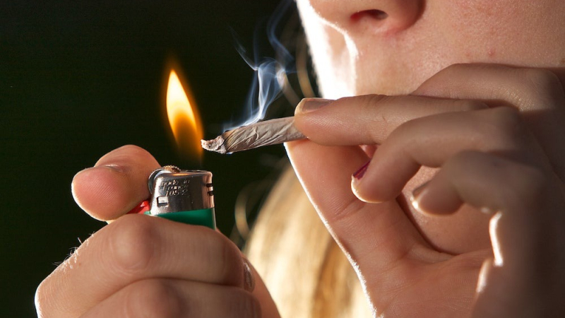 Consumir marihuana aumenta el riesgo de psicosis y trastorno bipolar