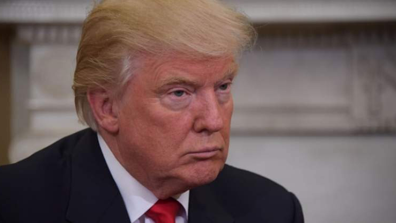 El "pez Trump" sorprende por su insólito parecido con el presidente de EEUU
