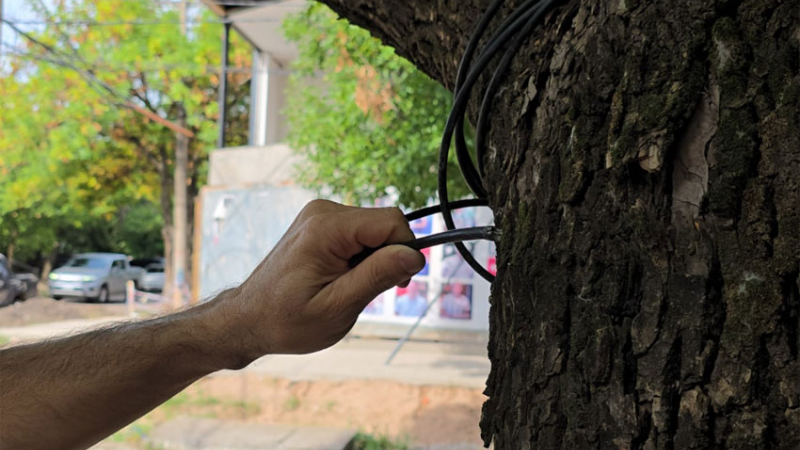 Cables que cuelgan, una trampa presente en las calles que puede ser mortal
