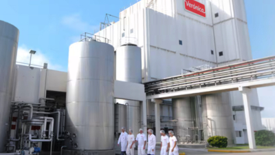 Denuncian cinco meses de sueldos impagos y abandono empresarial