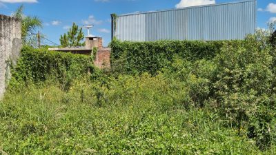 Malestar de vecinos por un pastizal fuera de control en zona norte
