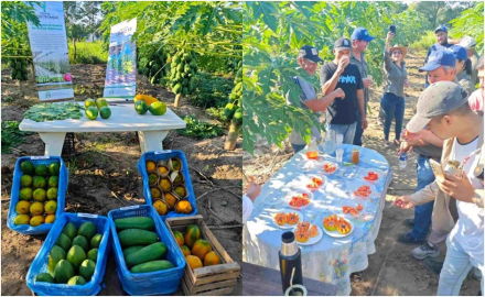 La actividad estuvo centrada en el manejo de enfermedades y la cosecha de frutos de mamón, y fue organizada por el CEDEVA Misión Tacaaglé..jfif