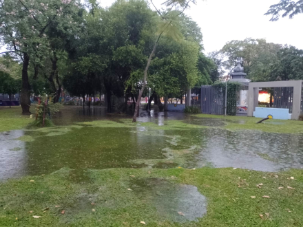lluvia5