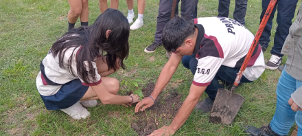 Plantaron arboles en la EPES N°31 (3).jpeg