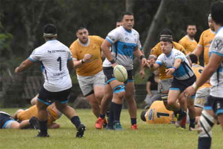 rugby2.jpg