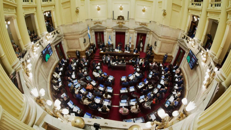 El Gobierno envió al Senado las reformas a las leyes de Discapacidad y Salud Mental