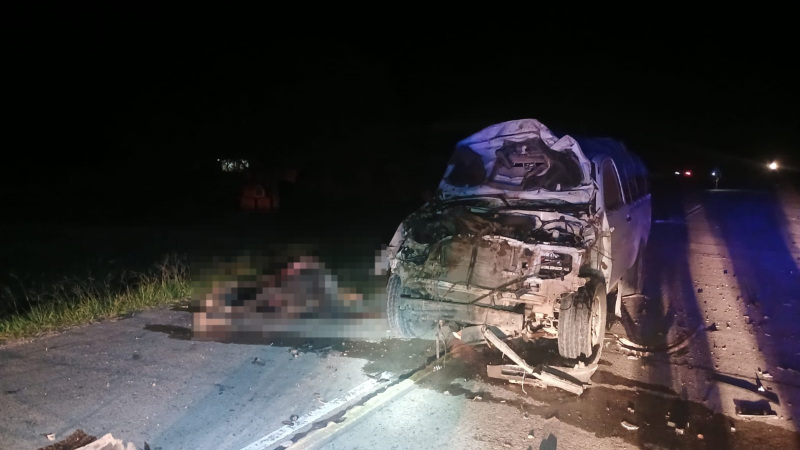 Peligro y susto: una camioneta embistió a un caballo en la ruta 9