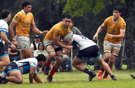 rugby