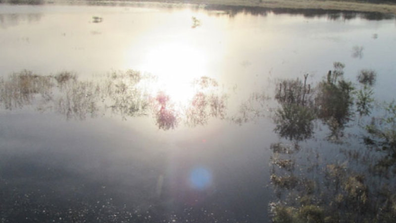 La laguna El Suri volvió a la vida y transforma el paisaje de El Impenetrable