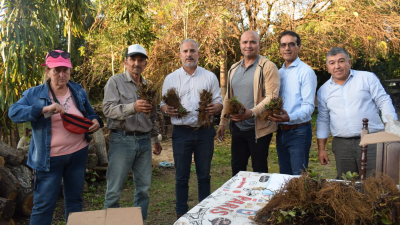 El programa Ñande acompaña a los productores de frutillas