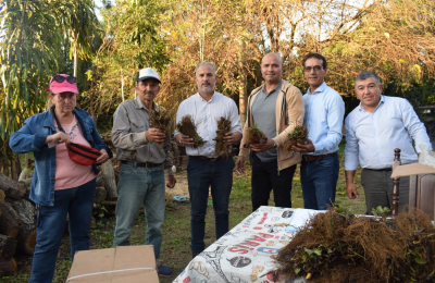 El programa Ñande acompaña a los productores de frutillas