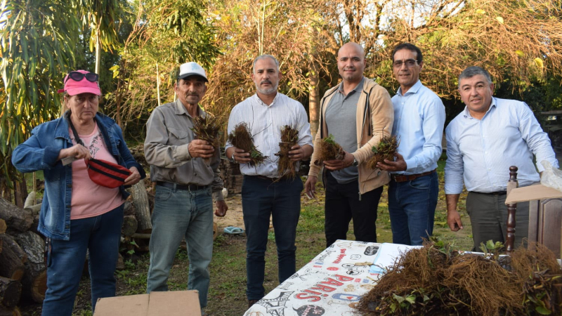 El programa Ñande acompaña a los productores de frutillas