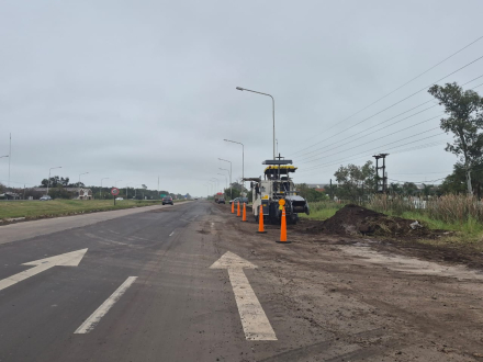 BACHEO 5