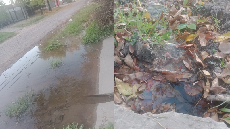 Denuncian que no se repara una pérdida de agua desde hace casi tres meses