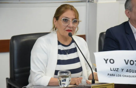 diputada