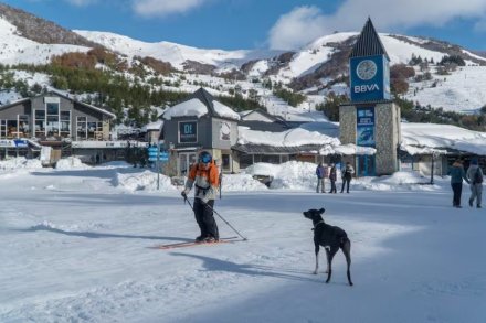 nieve