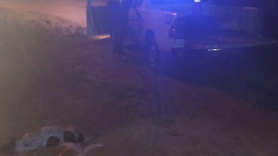 "Sí, yo los maté": detuvieron a un hombre tras confesar que ahorcó y golpeó hasta la muerte a sus dos perros