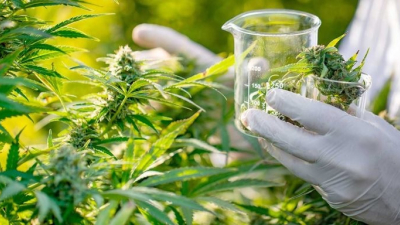 Las Jornadas Agronómicas pondrán el foco en la diversificación productiva