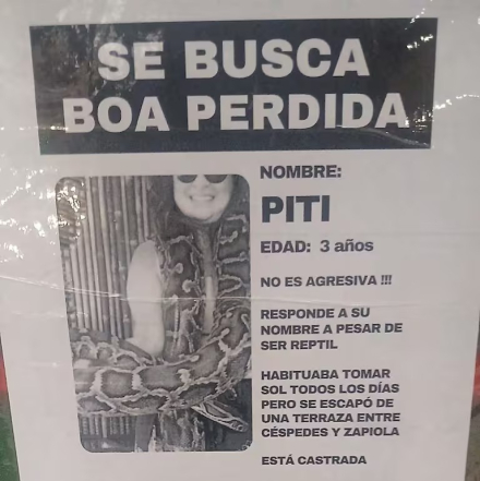 boa01