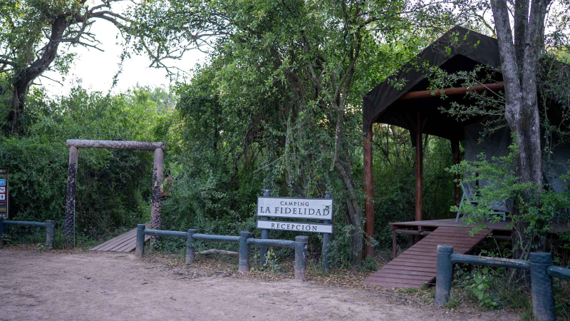 Camping La Fidelidad, la aventura de alojarse en la naturaleza de El Impenetrable