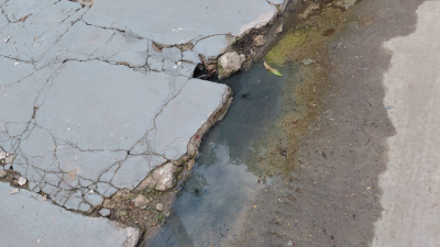 Aguas servidas y desidia afectan la salud de los vecinos