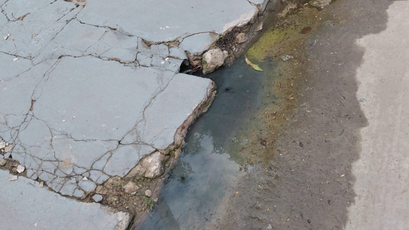 Aguas servidas y desidia afectan la salud de los vecinos