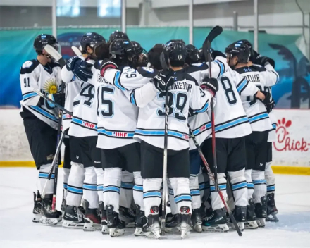 hockey2