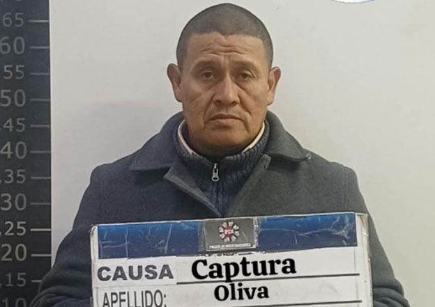 cebolla