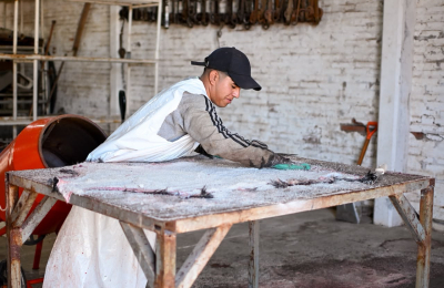 El Chaco da un paso histórico y exporta cueros caprinos a China