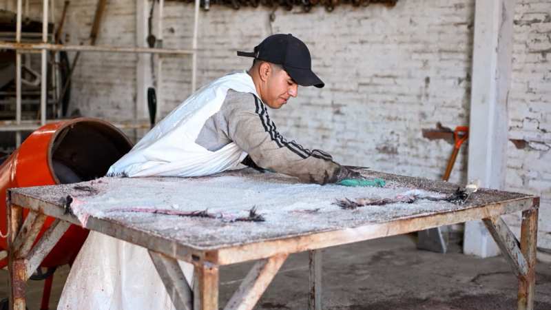 El Chaco da un paso histórico y exporta cueros caprinos a China