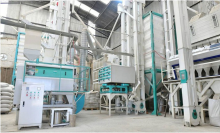A-partir-del-financiamiento-del-FONDIP,-AgroFortuc-incorporó-tecnología-de-punta,-aumentó-su-superficie-cultivada-y-consolidó-su-presencia-en-el-mercado-regional-con-productos-de-alto-valor-agregad