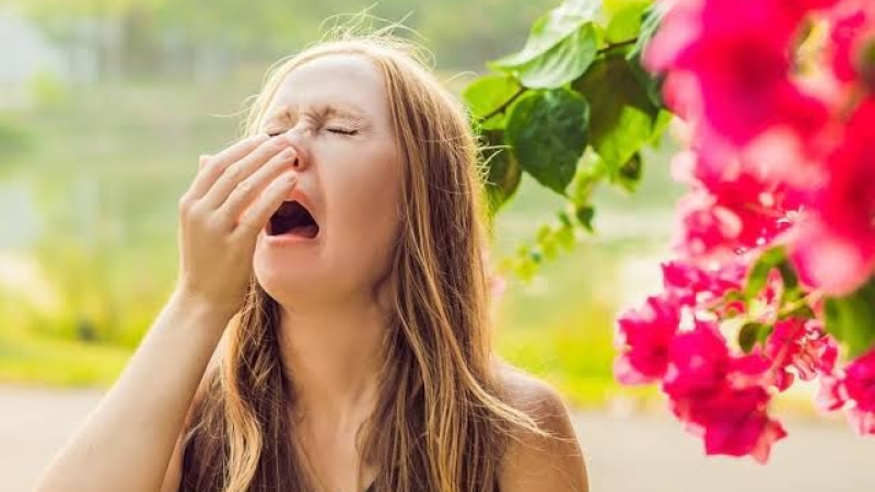 Alergia primaveral: causas, síntomas y cuidados esenciales para atravesar esta temporada