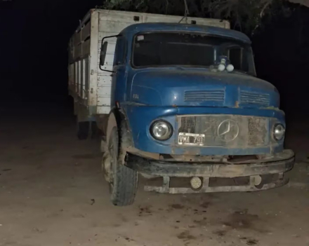 camion1